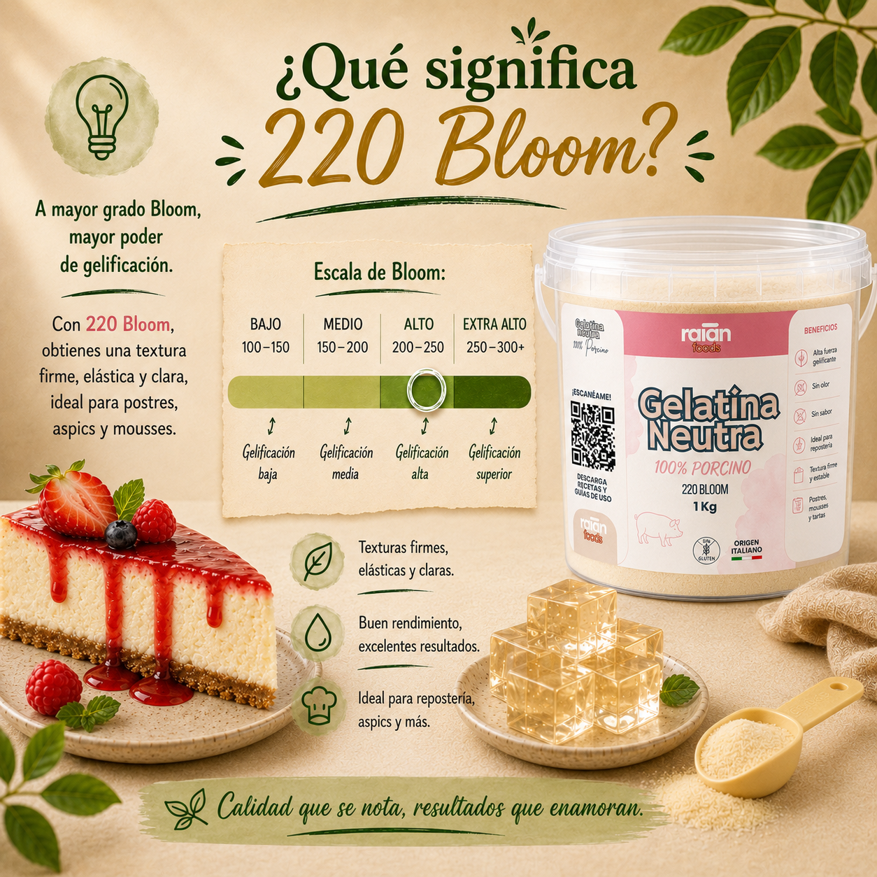 Gelatina neutra porcina RAIAN - imagen 5